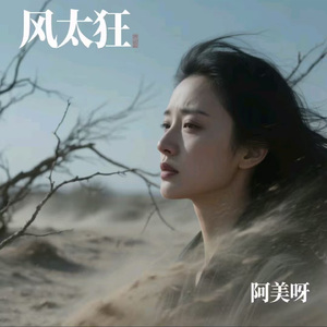 风太狂 (Live)