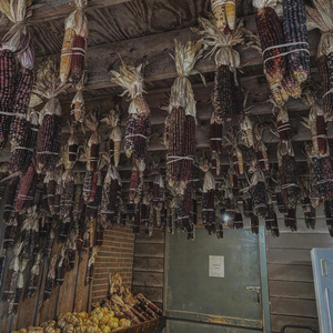 i could make your dreams come true