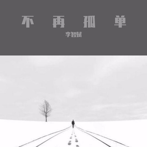 Red killer-不再孤单（李智斌 remix）