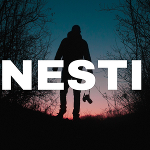 Nesti