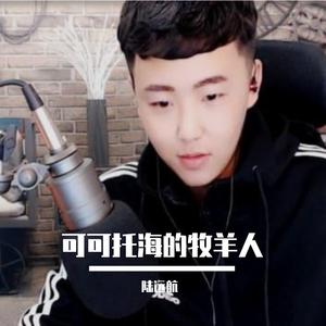 王琪-可可托海的牧羊人（翻自：王琪）（陆远航 remix）