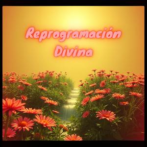Reprogramación divina