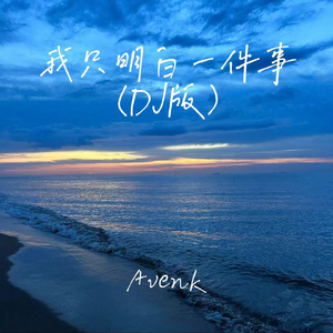 我只明白一件事（DJ版）