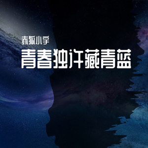 青春独许藏青蓝