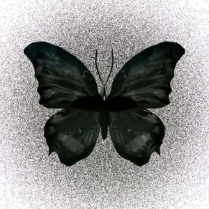 我的姑娘 她在远方