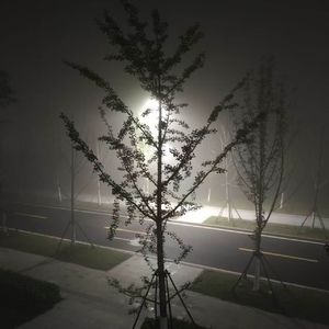 [FREE]姜云升成名type beat"远方"