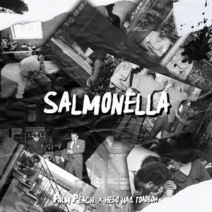 Salmonella