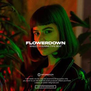 FlowerDown (Instrumental)