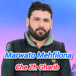 Che Zh Gharib