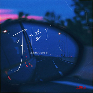 可惜了（纯伴奏）