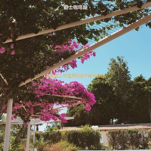 适合办公室工作丰富的音乐