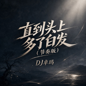 直到头上多了白发(节奏版)