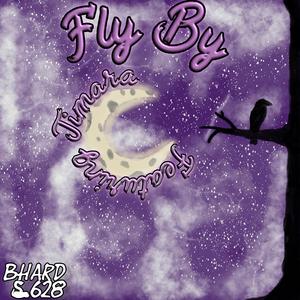 Fly By (feat. Timara)