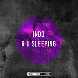 R U Sleeping (Todd Edwards Remix)