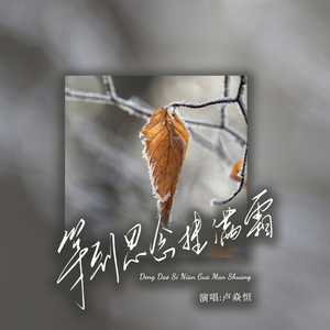 等到思念挂满霜（等到爱已结了疮）