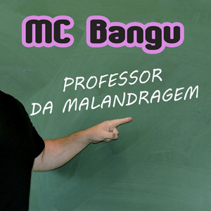 Professor Da Malandragem