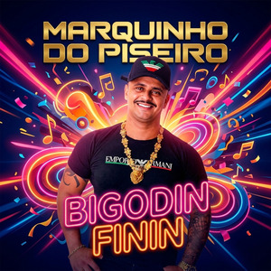 Bigodin Finin