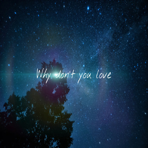 Why don't you love