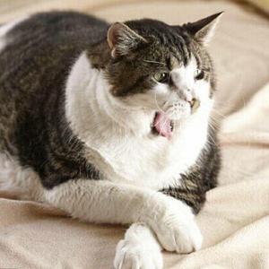 关于孤独我想说的话