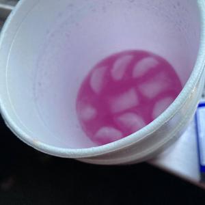 Trap Bitch