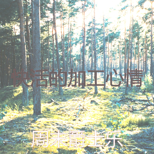 柔和的焦点时刻