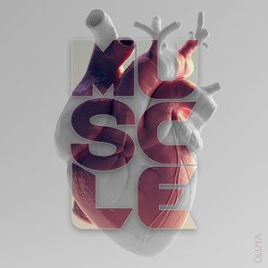Muscle
