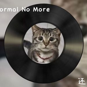 Normal No More(哈基米)