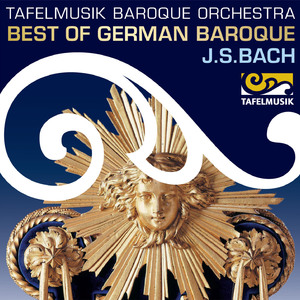 Ach Herr, mich armen Sünder, BWV 135: No. 3, Tröste mir, Jesu, meine Gemüte (Arr. for Bassoon & Orchestra)