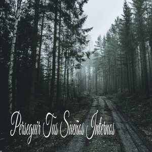 Discurso De Serenidad