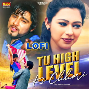Tu High Level Ki Chhori - Lofi