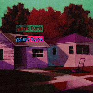 Galled Flums