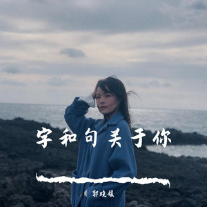 字和句关于你（翻自 高睿）