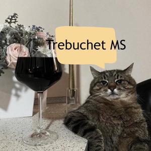 Pensée déconstruisant le monde moderne, celle qui explique pourquoi tous les matins les éboueurs passent et ma chaise me tombe dessus