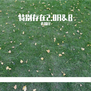 特别存在2.0R&B