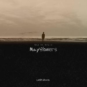 Mayflowers (LNRS Remix)