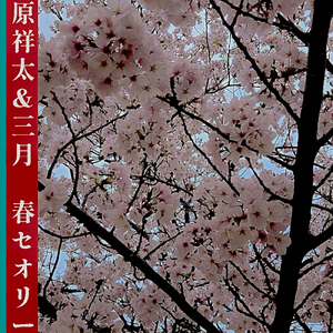 春セオリー (志見祥Remix)