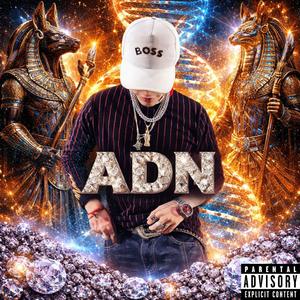 ADN
