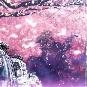 Sakura（翻自 生物股长）
