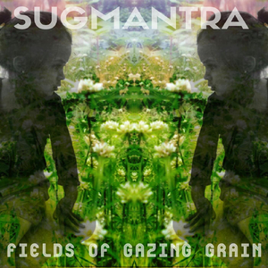 Fields of Gazing Grain