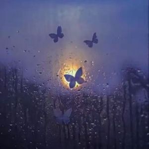 蝶雨
