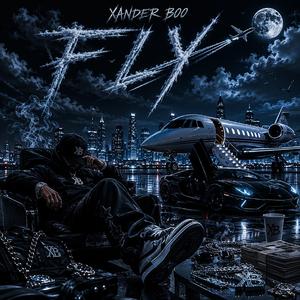 Fly