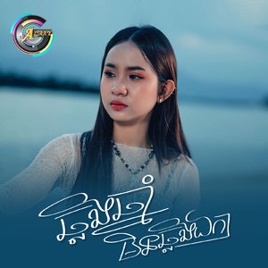 ឆ្លងឆ្នាំមិនឆ្លងឯកា (យប់នេះ)