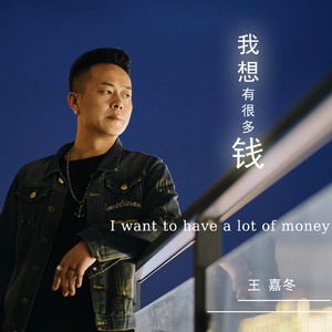 我想有很多钱