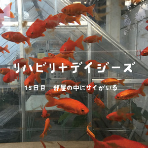 15日目：部屋の中にサイがいる