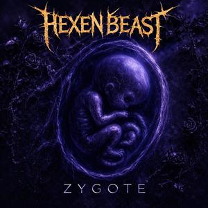 Zygote