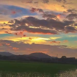 I wish my mind would shut up