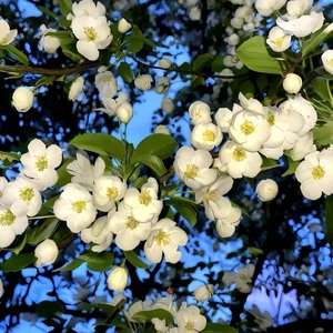 不在身边时我对你满是思念