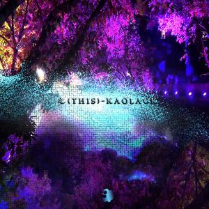 之（This） 伴奏