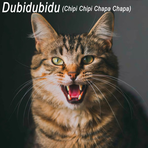 Dubidubidu (Chipi Chipi Chapa Chapa)