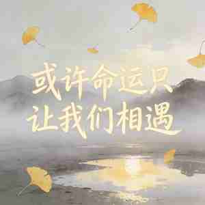 或许命运只让我们相遇